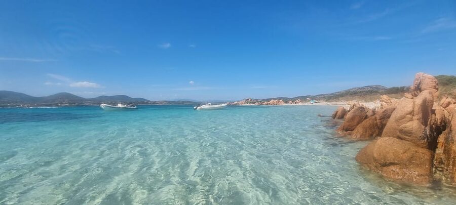 Olbia: Dolphin Watching & Swim and snorkel in Capo Figari - Price and Value: Is $79.30 Worth It?