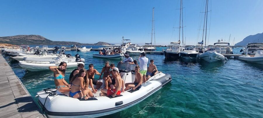 Olbia: Dolphin Watching & Swim and snorkel in Capo Figari - Practical Tips That Make This Day Easier