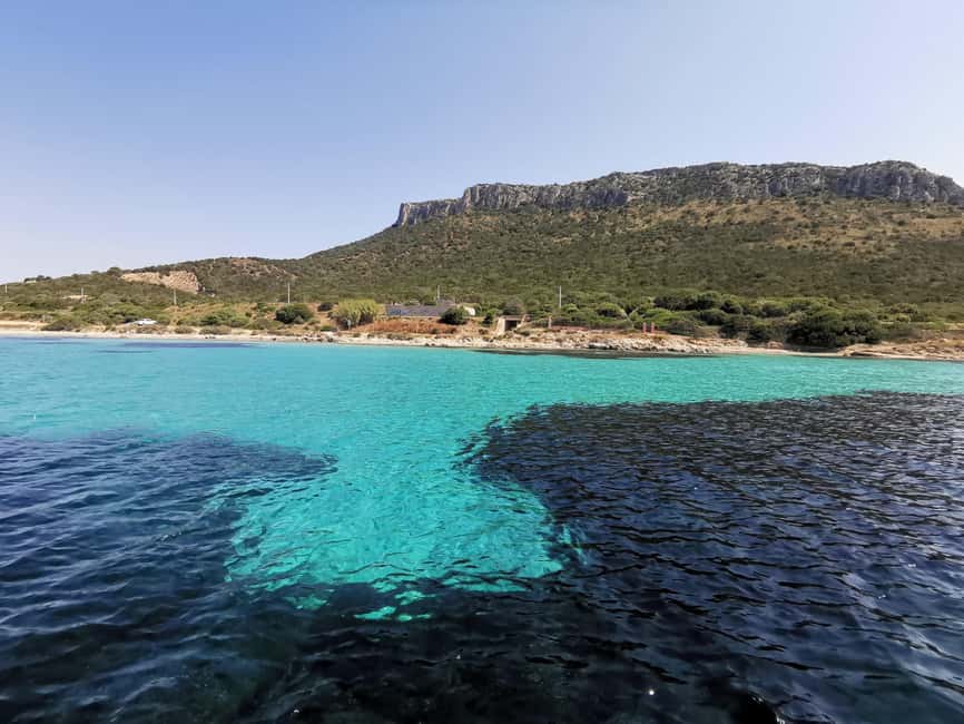 Olbia: Figarolo Island tour and snorkeling with dolphin sighting - Key highlights you’ll care about