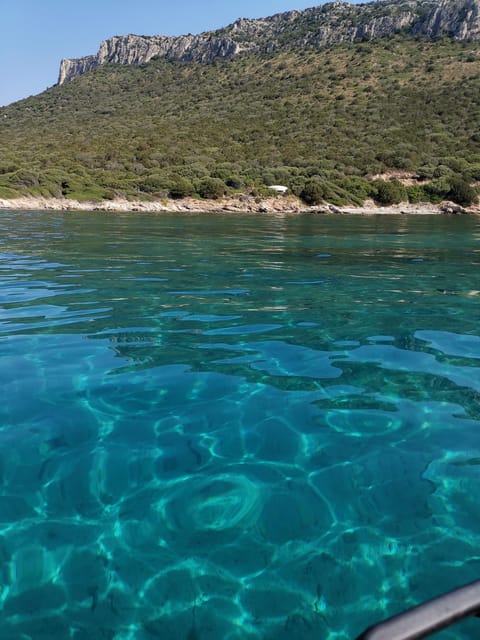 Olbia: Figarolo Island tour and snorkeling with dolphin sighting - The 3-hour flow: how the timing usually plays out