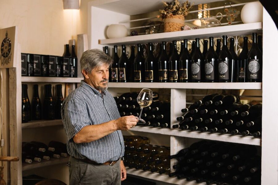 Olbia: Gallura Winery Guided Tour with Tasting - Should You Book This Olbia to Gallura Winery Tour?