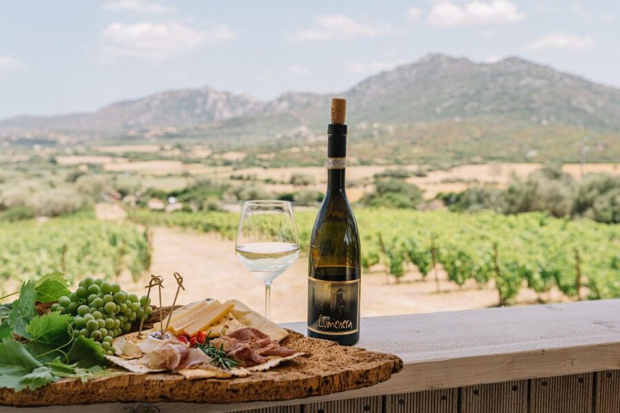 Olbia: Gallura Winery Guided Tour with Tasting - Vineyard Stroll: Seeing Gallura Grapes Up Close