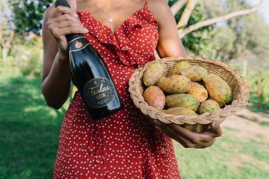 Olbia: Gallura Winery Guided Tour with Tasting - The 3-Wine Tasting: What You’ll Taste and Why It Works