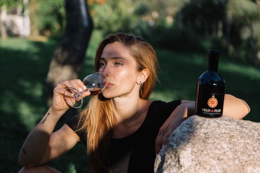 Olbia: Gallura Winery Guided Tour with Tasting - Value for $61: A Short Tour That Gives You a Lot