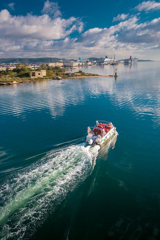 Olbia: Gulf of Olbia boat tour - Marine life spotting: watch the water, not just the horizon