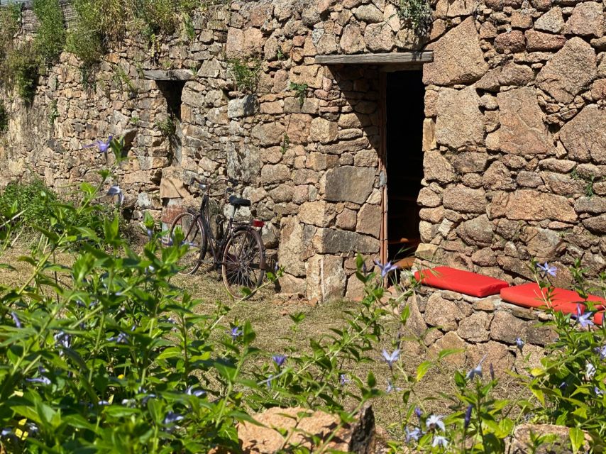 Olbia: Sardinian Pasta-Making Guided Workshop - Why Gallura pasta-making feels like time travel