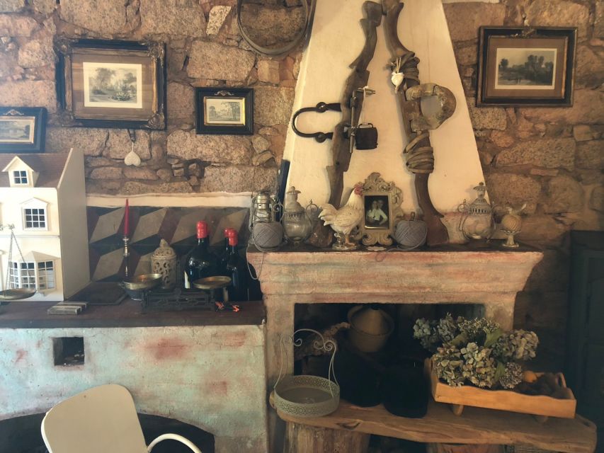 Olbia: Sardinian Pasta-Making Guided Workshop - Lunch or dinner with Gallura tradition: courses built for longevity