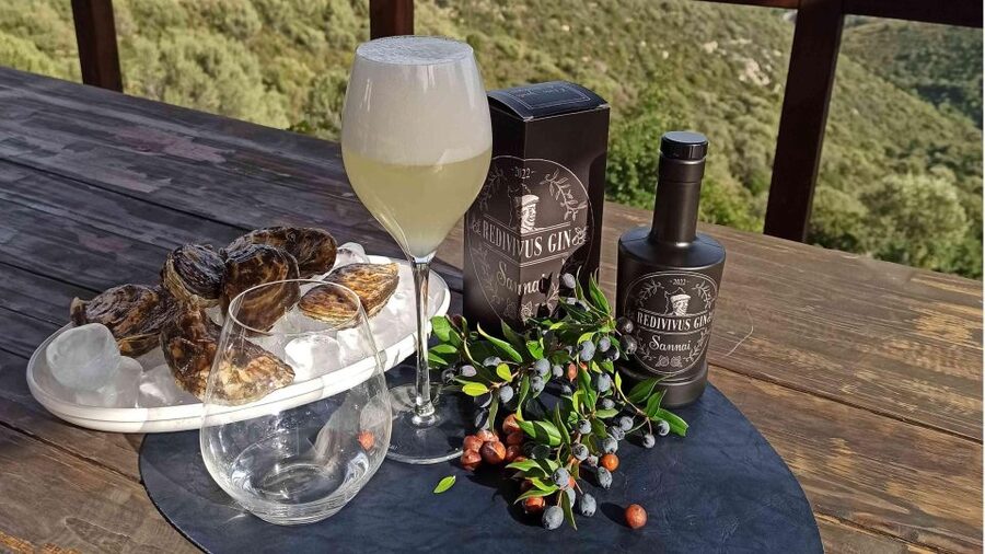 Olbia: visit a gin-making factory with tasting - Why Myrtle-Berry Gin Near Olbia Is Worth Your Time