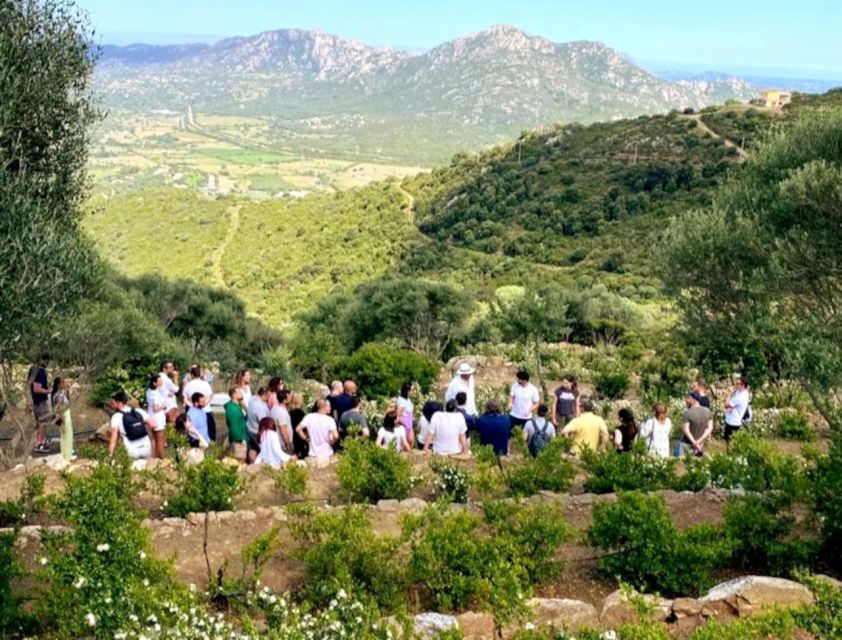 Olbia: visit a myrtle-making factory with tasting - The Four Myrtle Liqueurs: Exactly What You’ll Taste