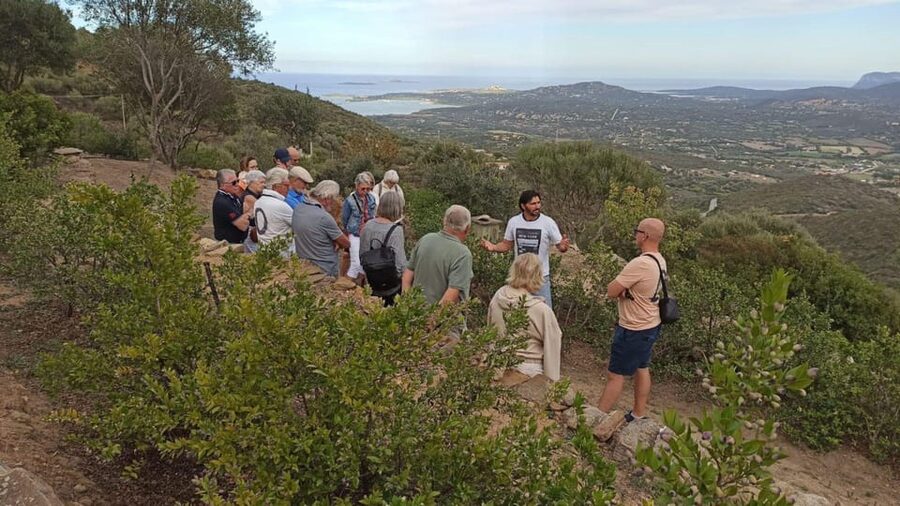 Olbia: visit a myrtle-making factory with tasting - The Walk Through the Myrtle Cultivations and the Best Photo Points