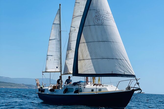 One day excursion on a sailing boat in the Gulf of Alghero - Key things that make this day sail worth your time