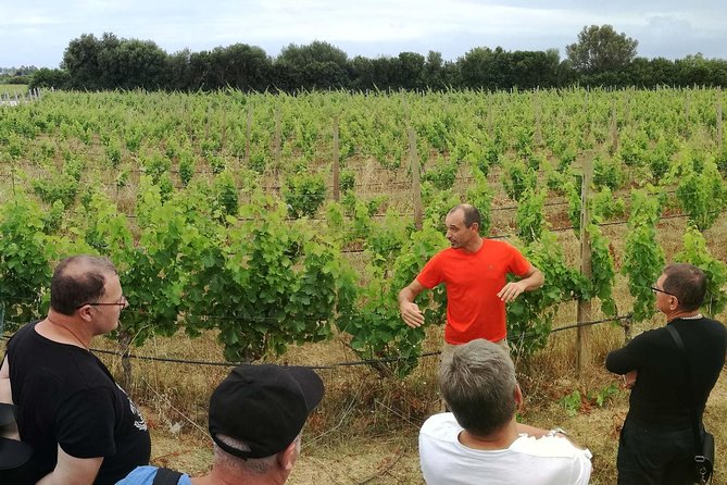 Orosei - 4x4 Tour & wine tasting - Statua Bronzea del Cristo: how to get your 360° moment in under an hour
