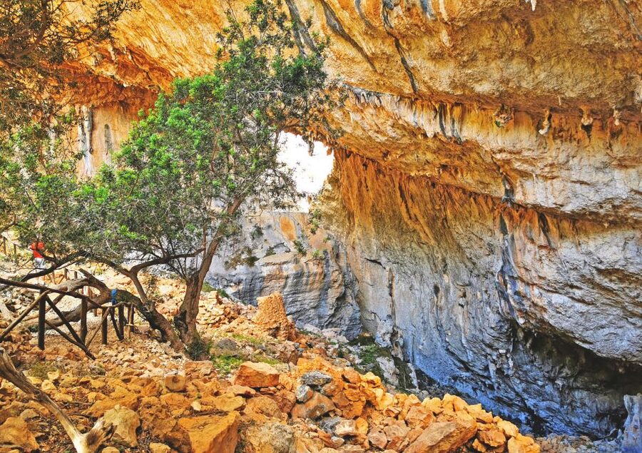 Orosei-Dorgali-Oliena: Hike to nuragic village of Tiscali - The hike through oak trees, Mediterranean scrub, and junipers