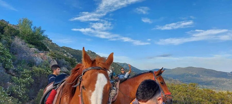 Orosei: horse riding on the beach - Cedrino river mouth trails and the coastal maquis feel