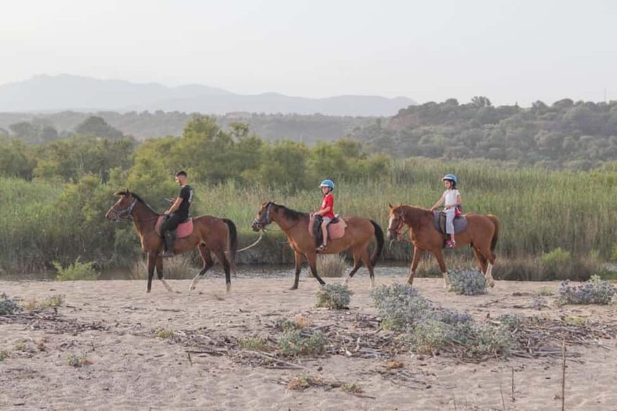 Orosei: horse riding on the beach - Guides, horses, and what “small group” really buys you