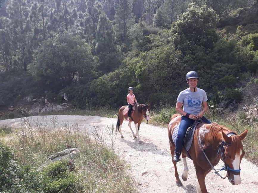 Orosei: horse riding on the beach - Price and value: is $98 per person fair?