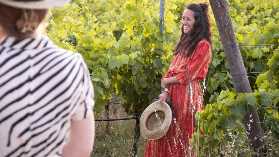 Palau: wine tasting in a Gallura winery - Guided Vineyard Walk: How Organic Viticulture Shows Up in Your Glass