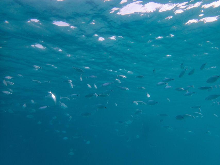 Porto Pollo: La Maddalena Islands Snorkeling Tour - Spargi Stop 3: Cala Corsara and warm, clear snorkeling