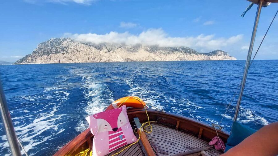 Porto San Paolo: Half Day Boat Tour to Tavolara and Molara - Practical Tips: What to Pack and How to Prep