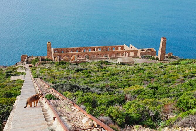 Private Day Tour to the Mines on the Iglesiente Sea - Who This Tour Suits Best (And Who Might Rethink It)