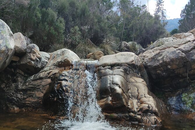 Rio Pitrisconi Monte Nieddu excursion - Meeting at WildWonder: getting started without stress