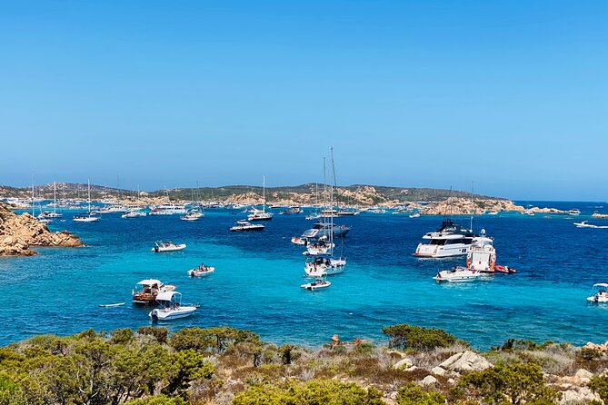Sailing Cruise in Maddalena Archipelago from Maddalena - The crew experience: where the day gets smooth