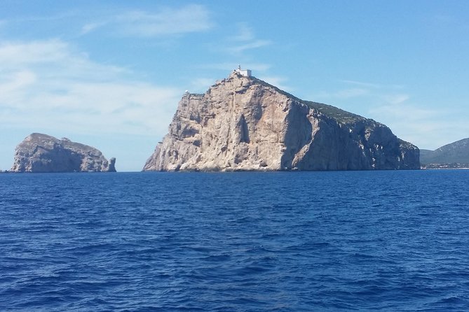 Sailing day trip on Tall Ship Andrea Jensen with Lunch and Wine - Price and value: what $169.38 really buys you