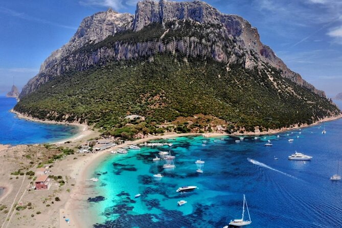 Sailing ship from Porto San Paolo (S.Teodoro-Olbia) to Tavolara, Molara - The protected waters (Marina Protetta) and the dolphin search sail