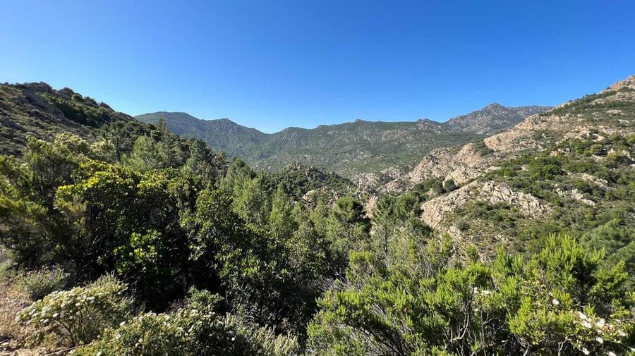 San Teodoro: Canyoning in Rio Pitrisconi with 4X4 transfer - Coffee and a Snack: Your Reset Moment