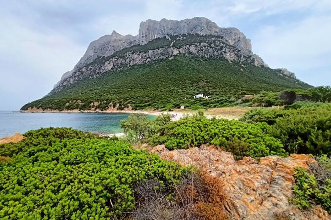 San Teodoro: Mini Tour of the Tavolara Archipelago - Key highlights you will feel right away