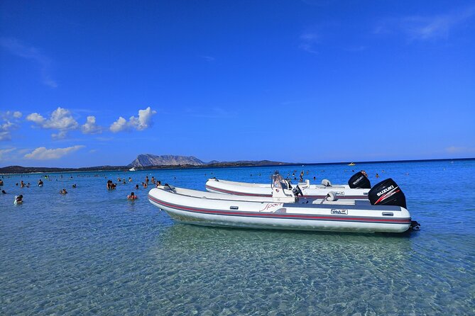 San Teodoro: Mini Tour of the Tavolara Archipelago - Price and value: where the $72.18 really goes