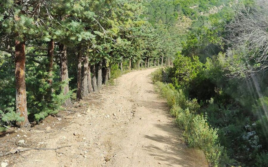 San Teodoro: Rio Pitrisconi Jeep and Hiking Tour - From Centro Escursioni Natura Viva to a 4x4 climb above San Teodoro