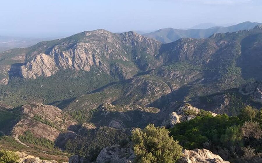 San Teodoro: Rio Pitrisconi Jeep and Hiking Tour - Pala di Monti lookout: the coastal panorama over Tavolara