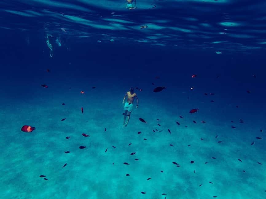 San Teodoro: Tavolara and Molara Islands Dinghy Excursion - Molara Natural Pools: the stop that does the work