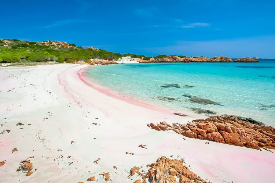 Sardinia: La Maddalena Archipelago Full-Day Trip by Boat - Spargi’s Cala Corsara: soft sand and swims with minimal fuss