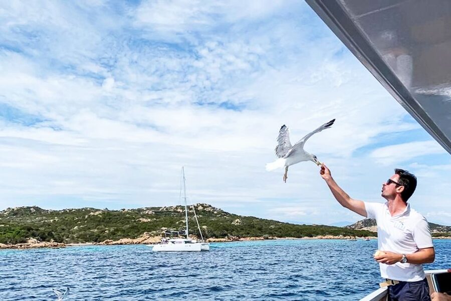 Sardinia: La Maddalena Archipelago Full-Day Trip by Boat - Getting there from Palau: the small logistics that make or break the first stop