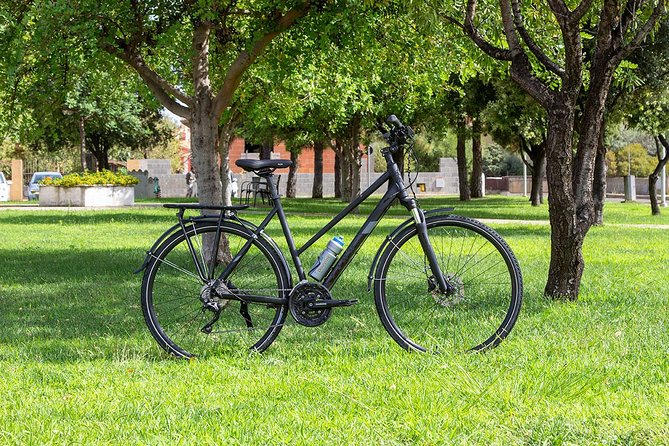 Sardinia Trekking Bike Rental - What the bike setup says about the terrain you can handle