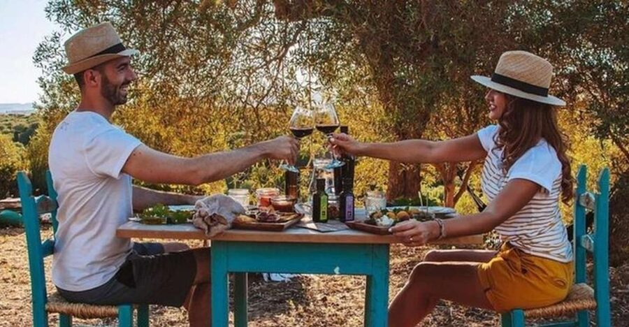 Sardinian Olive Oil tasting & Picnic among the olive trees - Key Highlights You’ll Care About