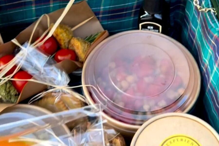 Sardinian Olive Oil tasting & Picnic among the olive trees - The Real Olive Lesson: Tasting Extra Virgin (and Knowing What You’re Smelling)