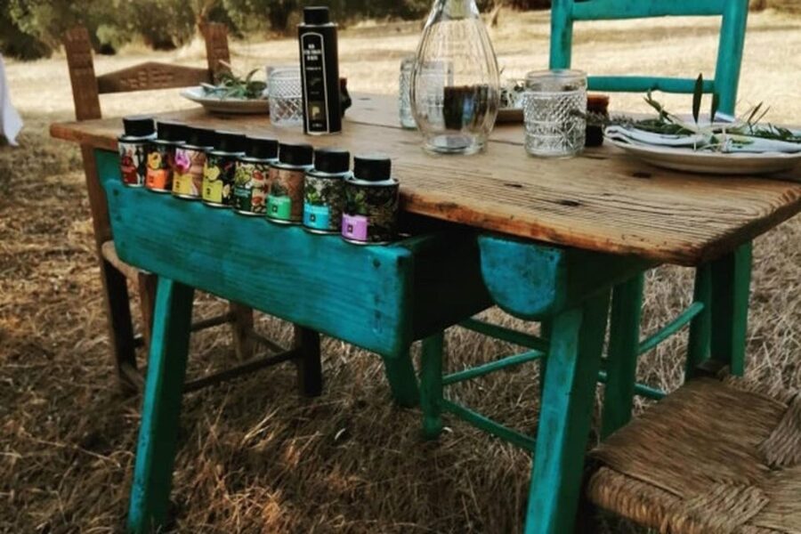 Sardinian Olive Oil tasting & Picnic among the olive trees - Flavored Oils and a 7-Tasting Picnic You Actually Eat
