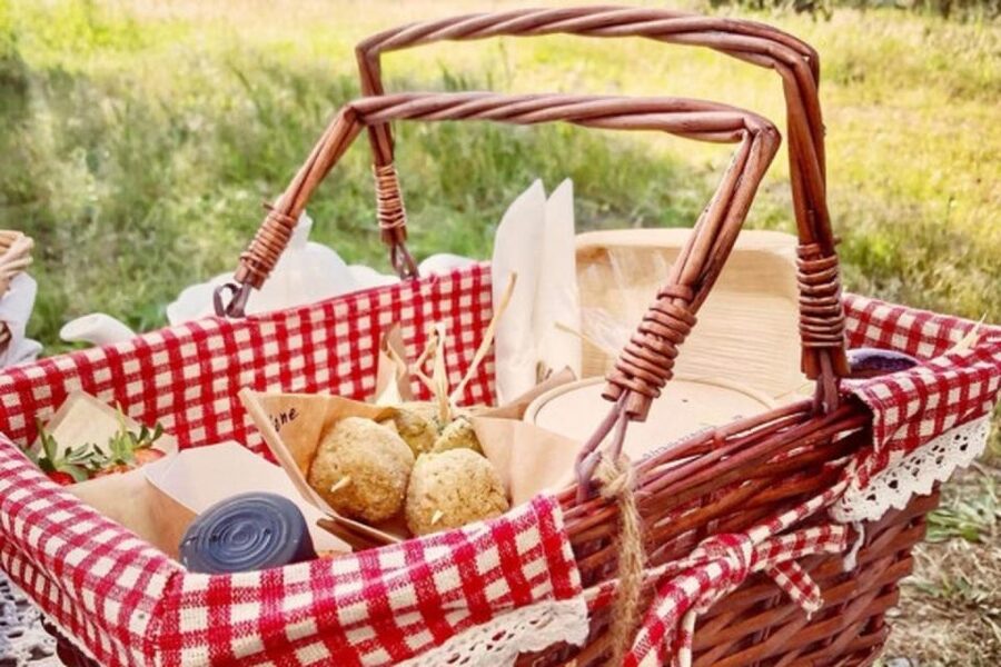 Sardinian Olive Oil tasting & Picnic among the olive trees - Timing Matters: When It Can Feel Like a Tasting Table