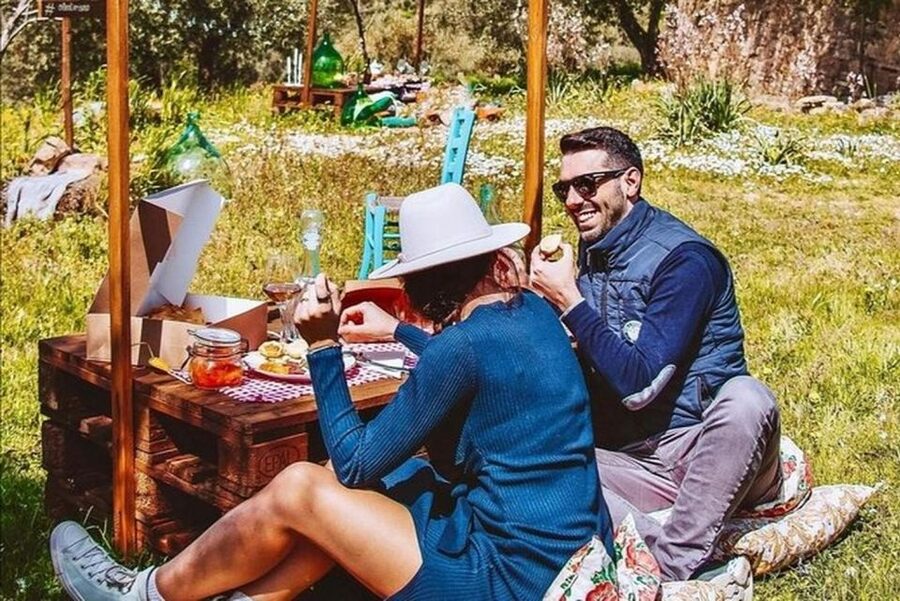 Sardinian Olive Oil tasting & Picnic among the olive trees - What I’d Do Differently If I Were Planning Your Day