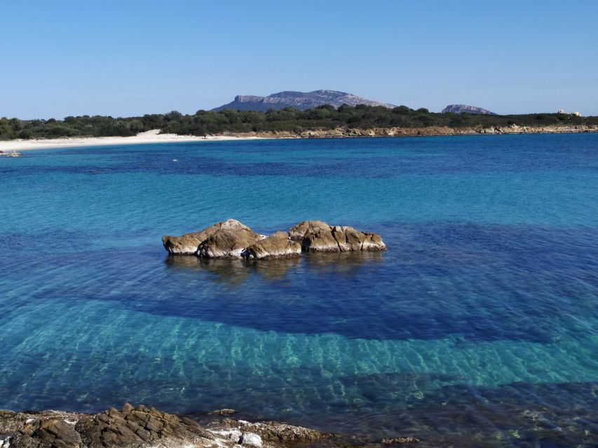 Sardinien: Tour entlang der Smaragdküste im Minibus - Who this tour is best for