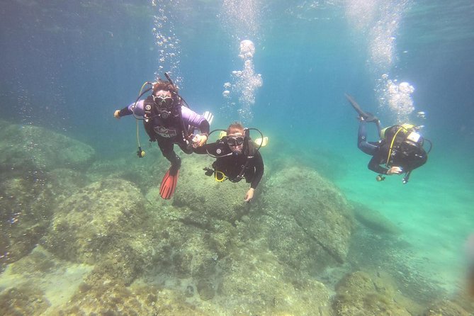 Scuba Diving in La Maddalena & Lavezzi Park for certified divers. - Key takeaways before you go