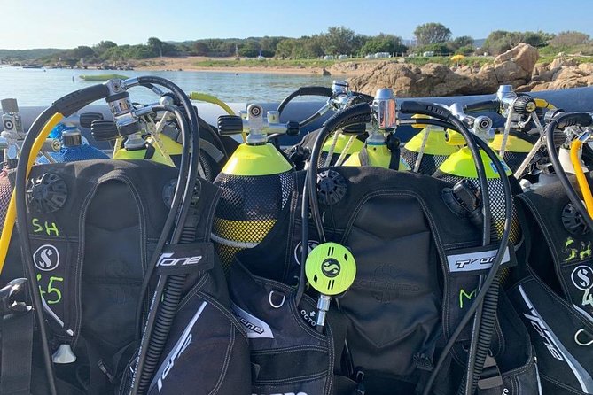 Scuba Diving in La Maddalena & Lavezzi Park for certified divers. - Underwater highlights around La Maddalena, Lavezzi, and the Sardinian coast