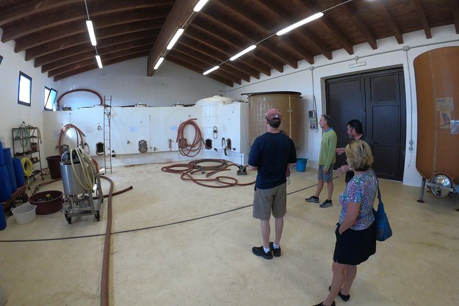 Small-Group Food and Wine Tour from Cagliari - From Cagliari to the Parteolla hills: the trip’s real value