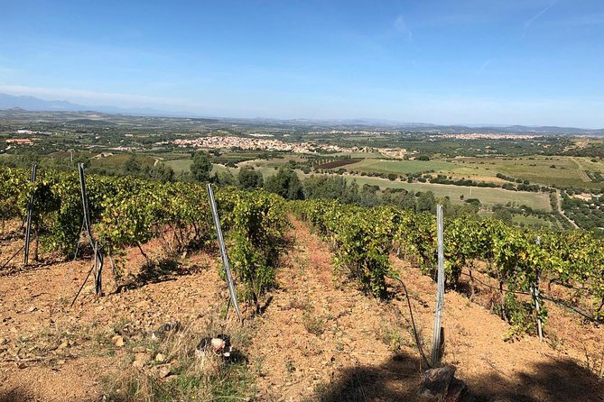 Small-Group Food and Wine Tour from Cagliari - Soleminis and the winemaker: where the day becomes personal