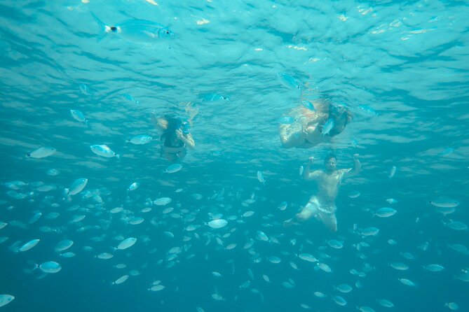 Smeralda Boat Tour and snorkeling - Price and logistics: what $500.39 per group really means