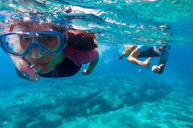 Snorkeling Experience to discover the dolphin inside you! - Key Highlights You’ll Feel Right Away