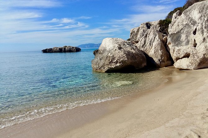 Snorkeling Experience to discover the dolphin inside you! - Snorkeling Cala Gonone: The 2.5-Hour Rhythm That Works